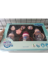 BABYTİME 5Lİ HOŞGELDİN BEBEK PP BİBERON SETİ / RENK SEÇİNİZ