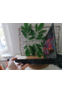 MSİ TİTAN GT73VR 6RE TİTAN / İKİNCİ EL ÜST SEVİYE İŞYERİ CİHAZI